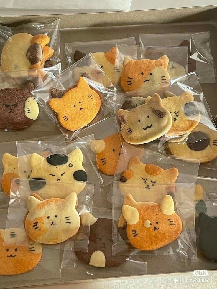 Galletas de gato